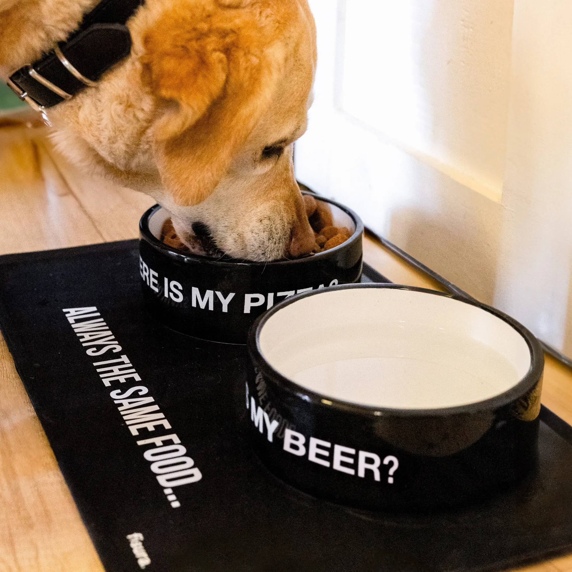 Bebedero “Where is my beer?”