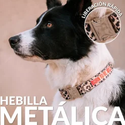 Collar “Born to be wild” L