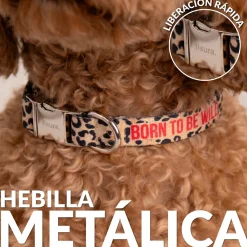 Collar “Born to be wild” S-M