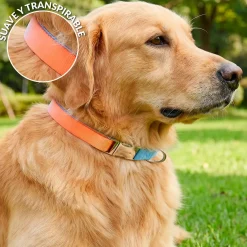 Collar “Degradado” L