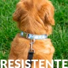 Collar “Nubes” L