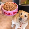 Comedero “Dog bar”