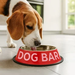Comedero y bebedero “Dog bar”