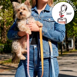 Correa "Degradado"
