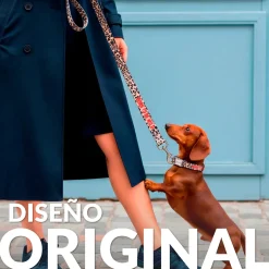 Pack de collar y correa 
