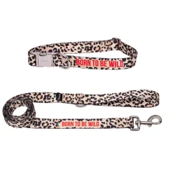 Pack de collar y correa 