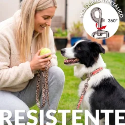 Pack de collar y correa 