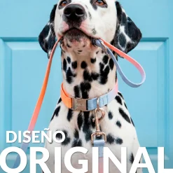 Pack de collar y correa "Degradado" L