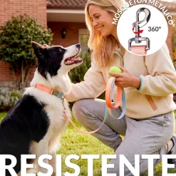 Pack de collar y correa 