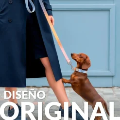 Pack de collar y correa "Degradado" S-M