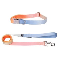 Pack de collar y correa 