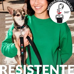 Pack de collar y correa 