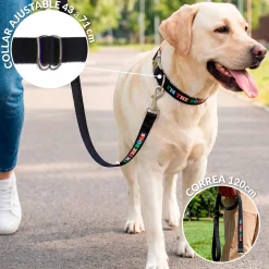 Pack de collar y correa 