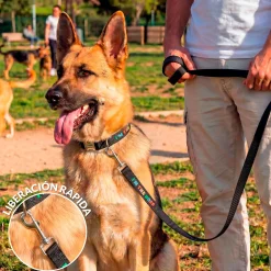 Pack de collar y correa 