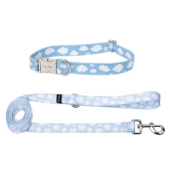 Pack de collar y correa 